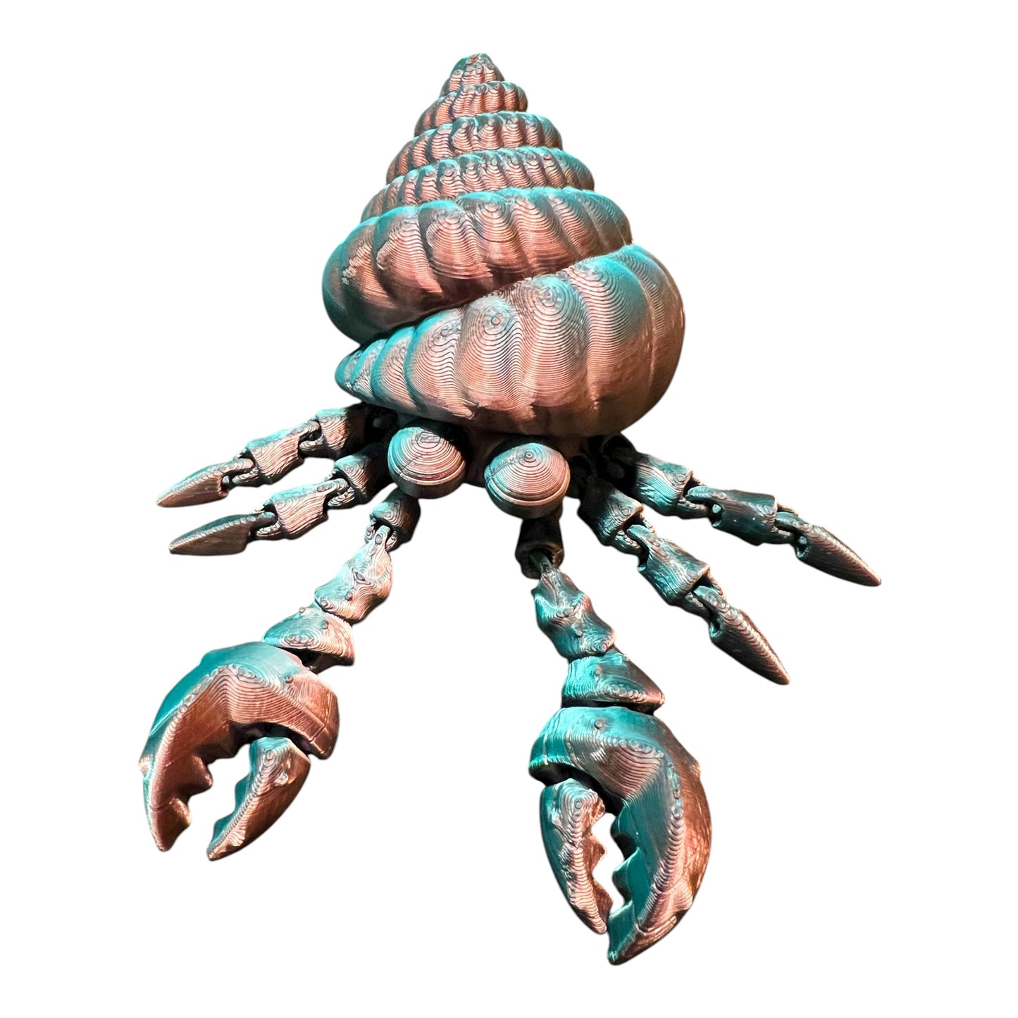 Hermit Crab multicolored shiny