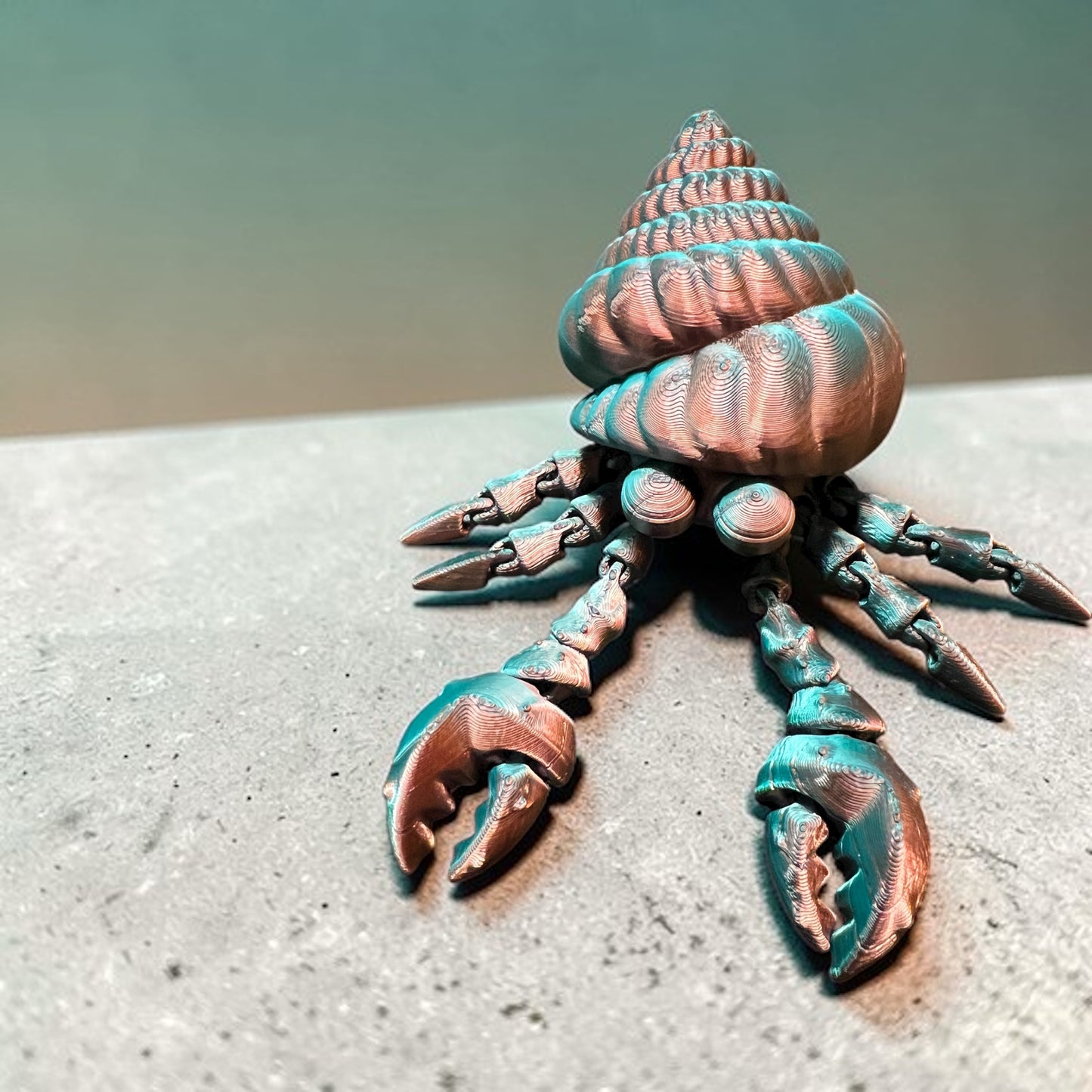 Hermit Crab multicolored shiny
