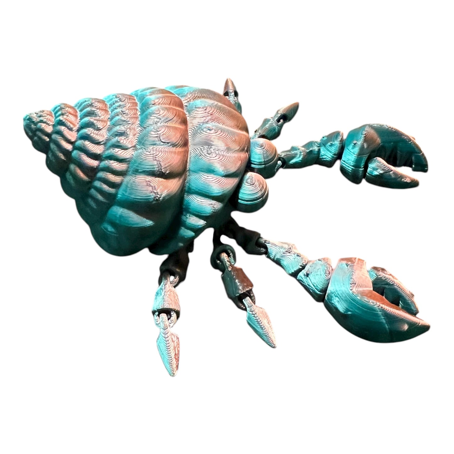 Hermit Crab multicolored shiny