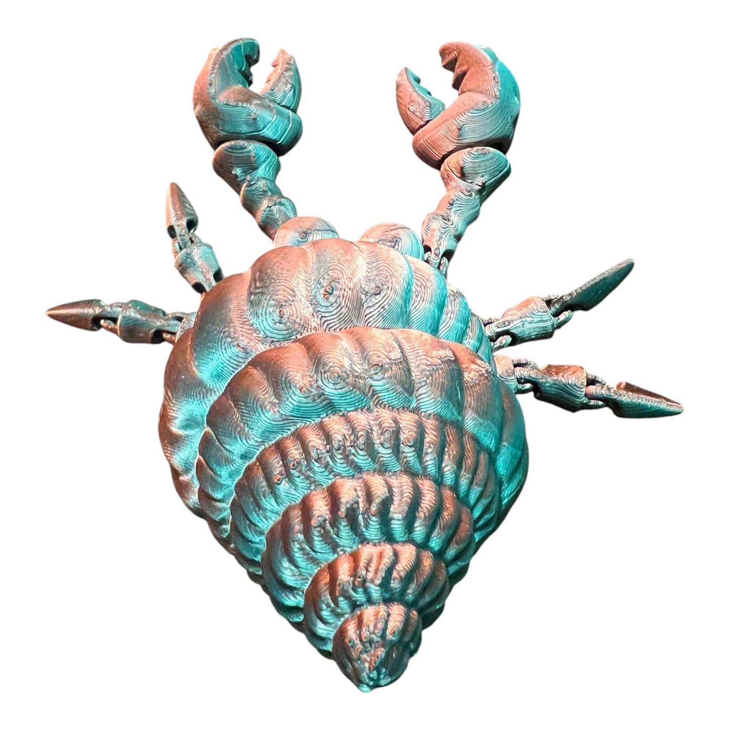Hermit Crab multicolored shiny