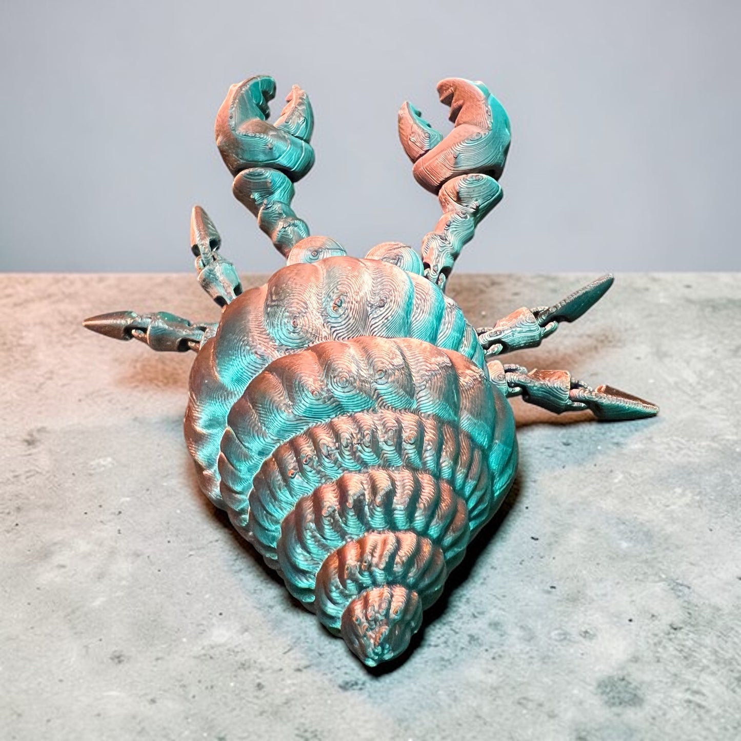 Hermit Crab multicolored shiny