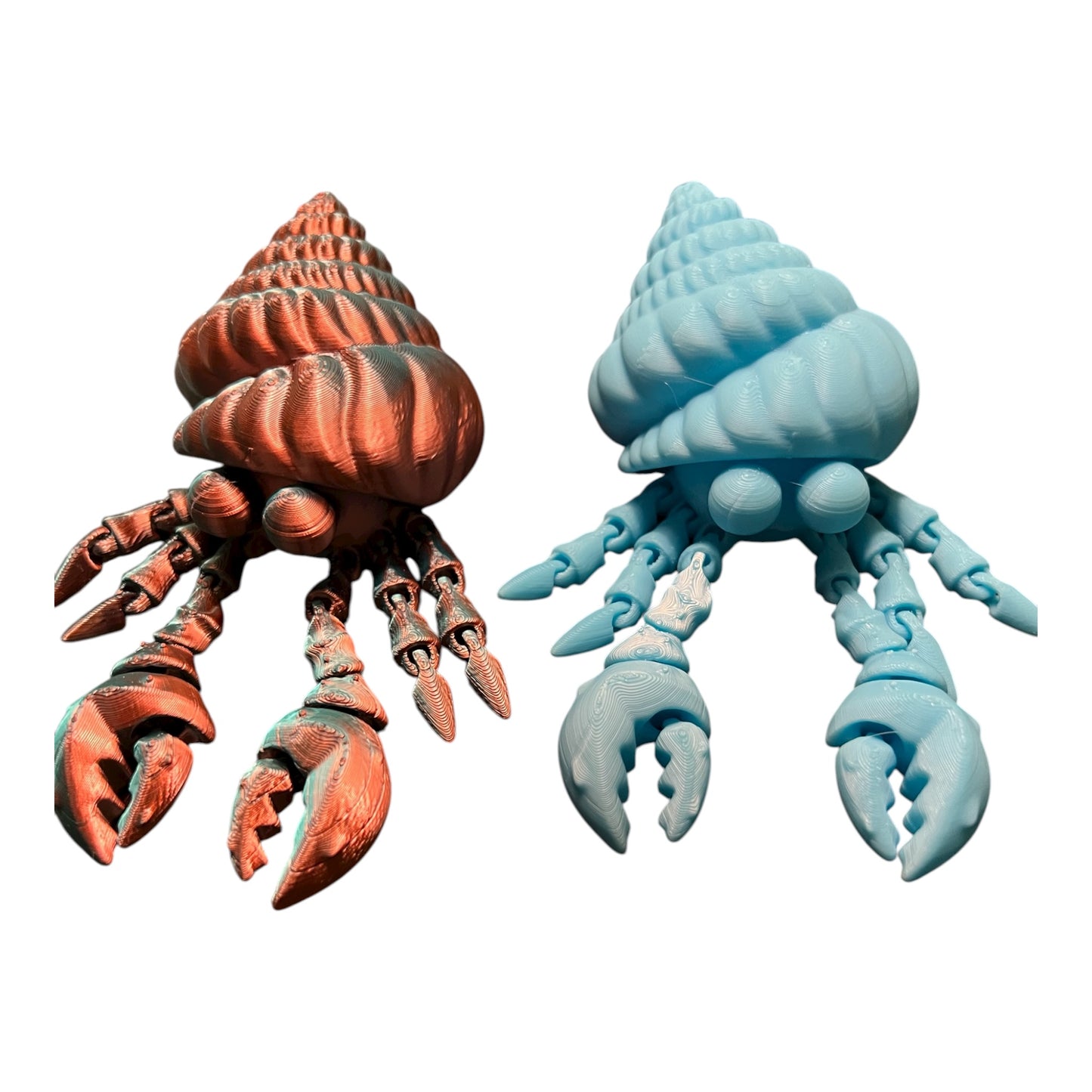 Hermit Crab multicolored shiny