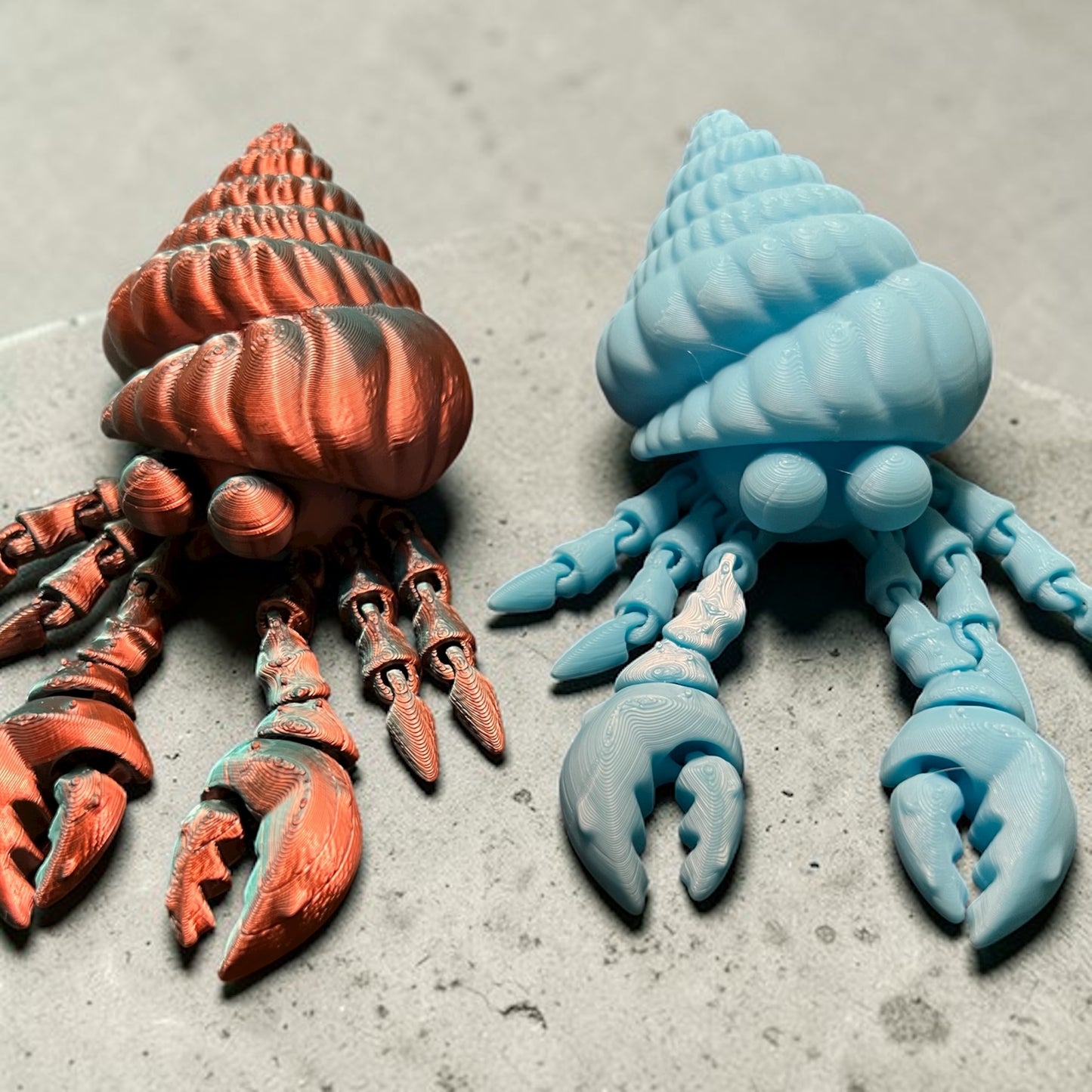 Hermit Crab multicolored shiny